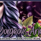 BlackCurrentCGorgeousArieBuzzy vi
