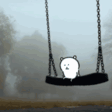 IMG 3728.gif