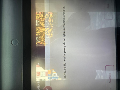 193507 billyx011 35100 1777095501081 832747393 resized.jpg