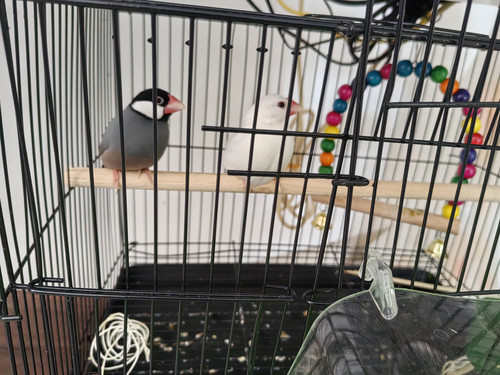 IMG 20260425 132036.jpg