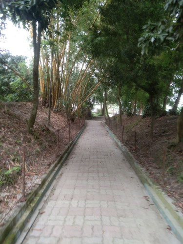 file 839.jpg