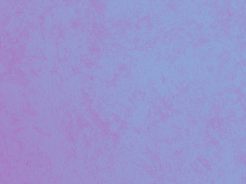 temp.png