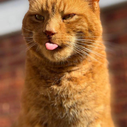 679590523 122295934340217863 4869510106622536652 n.jpg