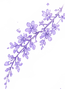 图层 16.png