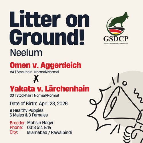 uc?export=download&id=1iCNcppXVp9 GlEiMlz92B5k7OvVIurot.png