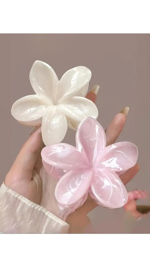 processed source.jpg