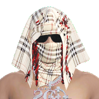 f3168b4a622b.png