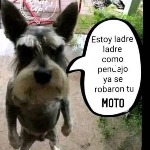 El%20toro.jpg