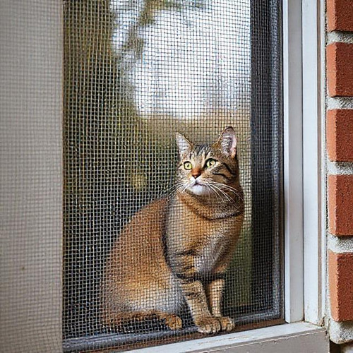 DIY Cat Mesh & Safety Tips | Ultimate Guide for Cat Owners.jpg