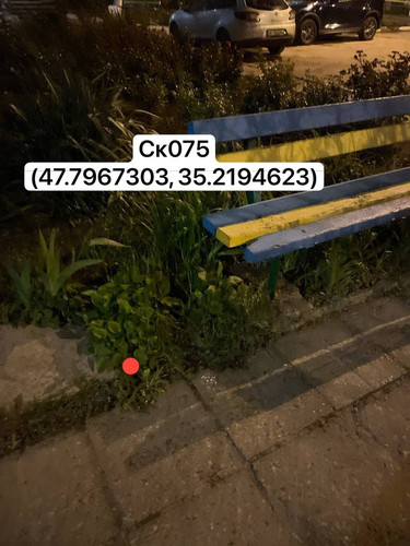 photo.jpg