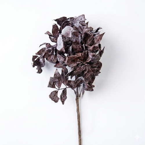 d066b48b 65cd 4c3e ad92 362c13d992fc.jpg