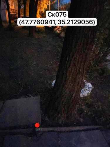 photo.jpg