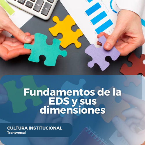 Fundamentos de la EDS y sus dimensiones.png