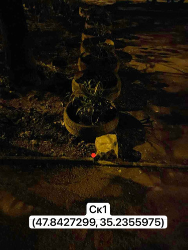 photo.jpg