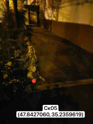 photo.jpg
