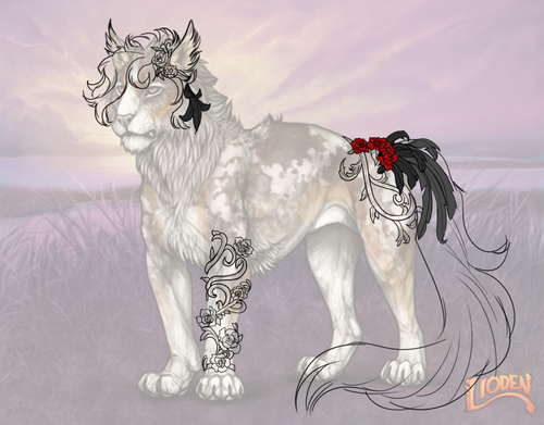 felis comm.png