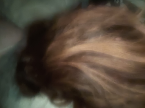 temp.png