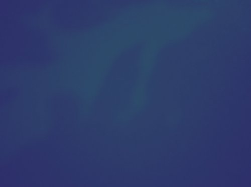 temp.png