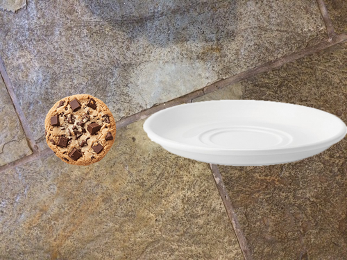 catcookie.png