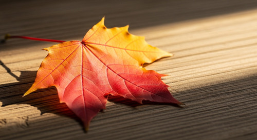 a739519e9ba7.jpg