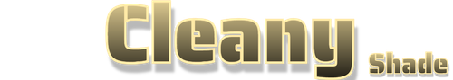 Cleany.png