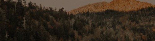 9cf650f2dfb919ec12463708eb232caf.png