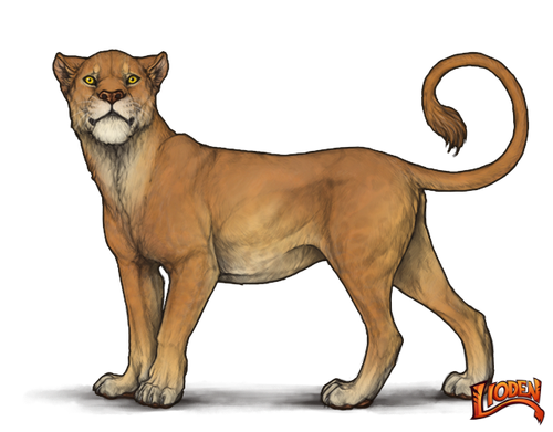 lioden wardrobe (5).png