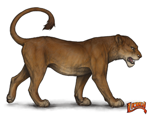 lioden wardrobe (3).png