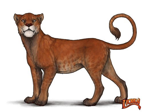 lioden wardrobe (7).png