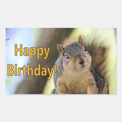 mr squirrel wishing a happy birthday rectangular sticker r257fa277414f4a769cf159551cd55841 0ugdw 8by.jpg