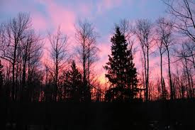 [Image: B6l4Vgs.jpg?fbclid=IwY2xjawRY1o9leHRuA2F...s2IN6HUuHA]