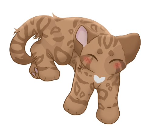 IMG 0236.png