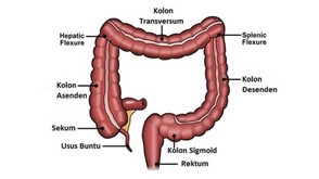 Picture7.jpg