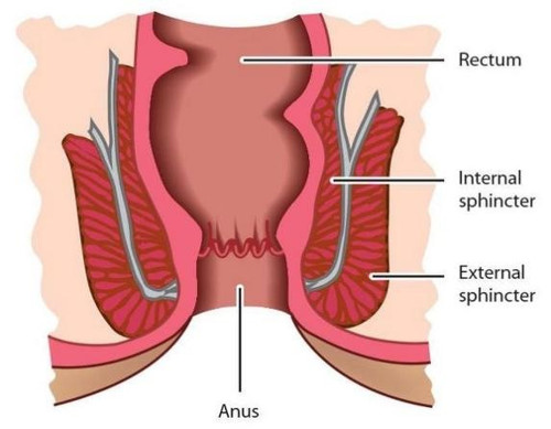 Picture8.jpg