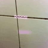 aKGoeKZ 460sv.gif