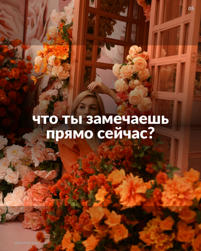 03273526b721.png