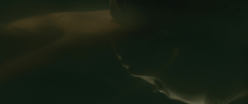 4ezgif.com resize (46).gif