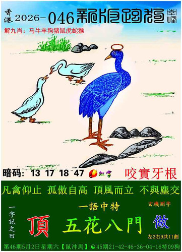 p9.jpg