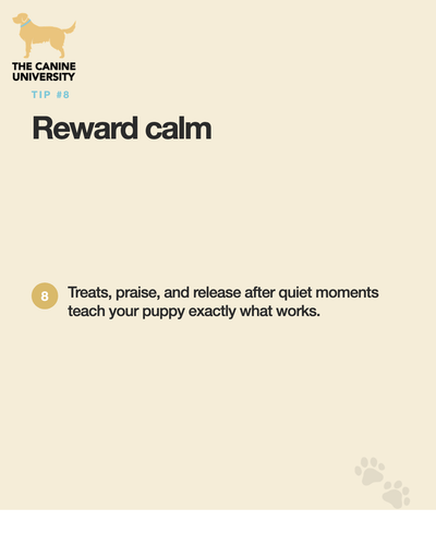 93408800b9a5.png