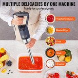 us%2FZXSCJBQ500WBHM0FZV3%2Foriginal img v2%2Fcommercial immersion blender f5