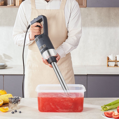 us%2FZXSCJBQ500WBHM0FZV3%2Foriginal img v2%2Fcommercial immersion blender m100 1.12.jpg