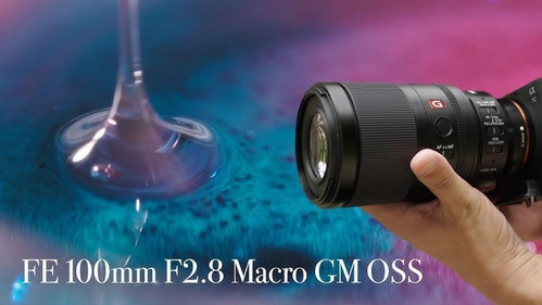 Ống kính Sony FE 100mm F2.8 Macro GM gắn trên thân máy ảnh Sony Alpha