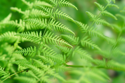 Ảnh macro mạng nhện với những giọt sương