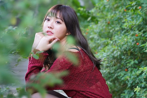 Cánh hoa chụp macro thể hiện độ sắc nét và chi tiết tuyệt vời