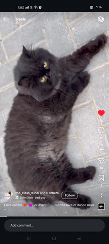 Screenshot ٢٠٢٦ ٠٤ ٢٤ ١٨ ٤٨ ٠٢ ٥٣ 1c337646f29875672b5a61192b9010f9.jpg