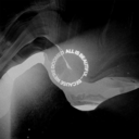 f10b6cbe3e57.png
