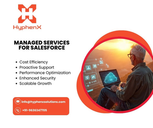 Managed Services for Salesforce .jpg