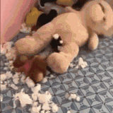 1000053648.gif