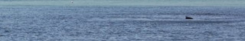 a28899dd1e52.jpg