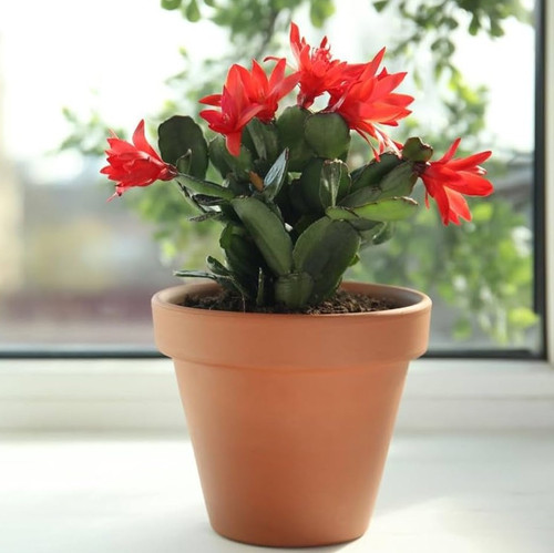 51smt4735nL. AC UF1000,1000 QL80 .jpg